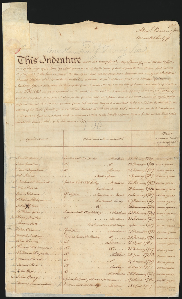 NRS 1150 [SZ115] 1150_SZ115_0224